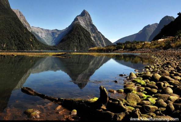 Natural Scenery Mural Wallpaper : Fiordland National Park