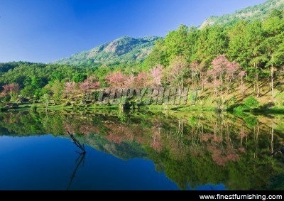 Natural Scenery Mural Wallpaper : Lakeside