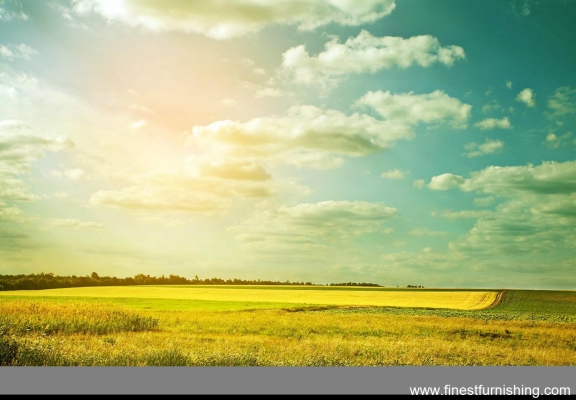 Natural Scenery Mural Wallpaper : Wheat Field