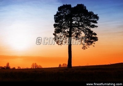 Natural Scenery Mural Wallpaper : Lonely Tree At Sunset
