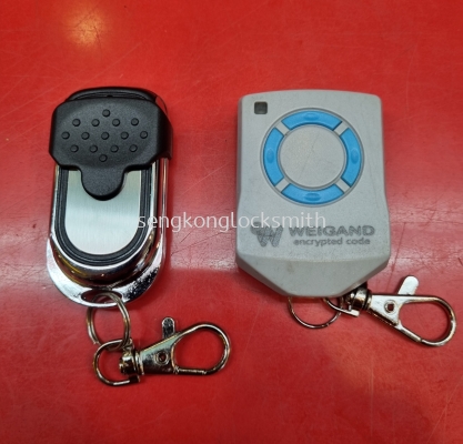 weigand remote control