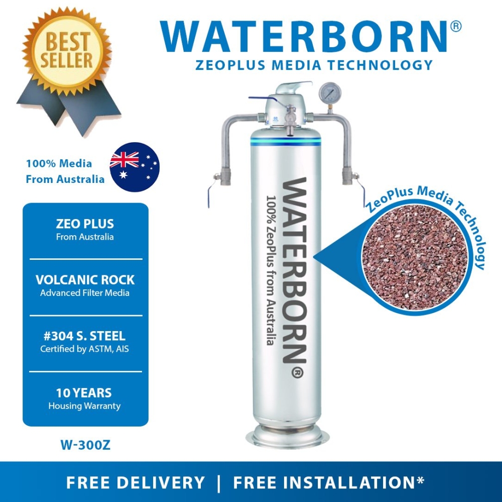 WATERBORN W-300Z Stainless Steel Master Filter Outdoor Filter with  Australia Zeoplus Media (Warranty : Body Vessel - 10 Years, MPV & Accessory  - 1 Year) Whole House System Malaysia, Selangor, Kuala Lumpur (