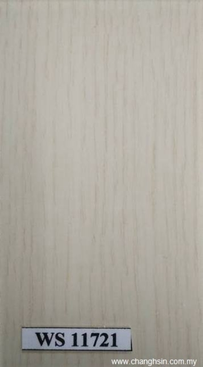 Cabinet Door Color : WS11721