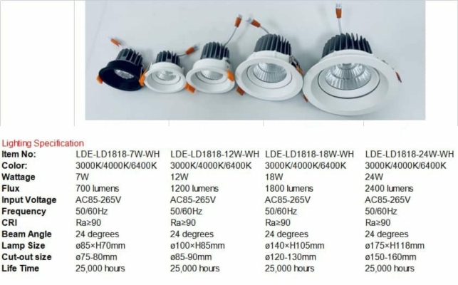 LDE-LD1818-7W/12W/18W/24W