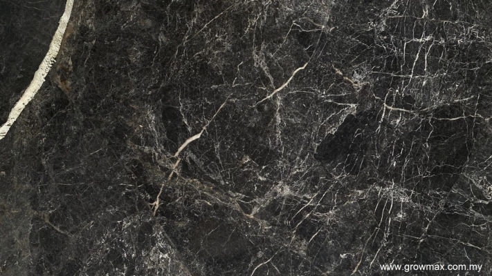 Grey St. Laurent Marble