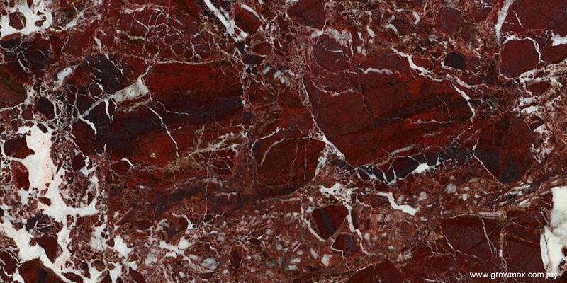 Rosso Levanto Marble