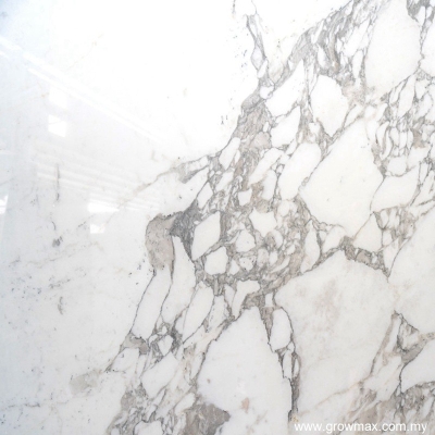 Arabescato Corchia Marble 