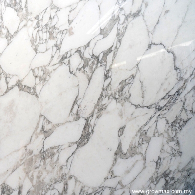 Arabescato Corchia Marble