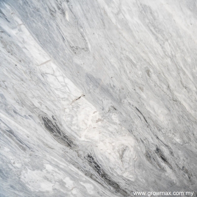 Bardiglio Carrara Marble