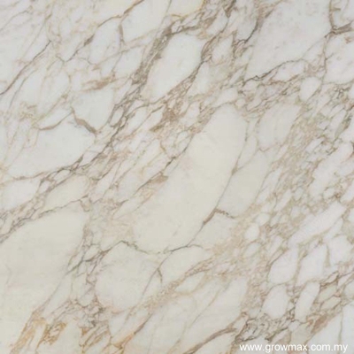 Calacatta Oro Marble