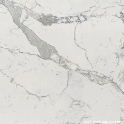 Statuario Marble