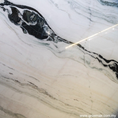 Panda White Marble