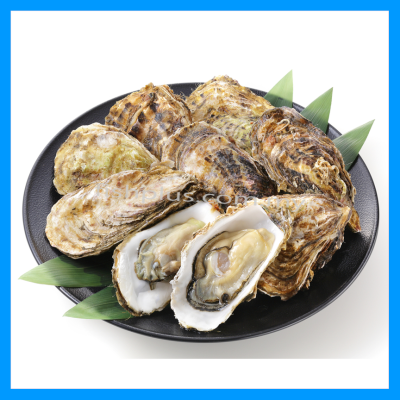 Hyogo Murotsu Japan Sashimi Oyster (full Shell)