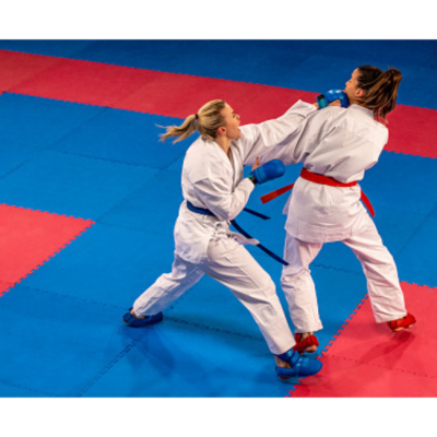 YKF Martial Arts Mat