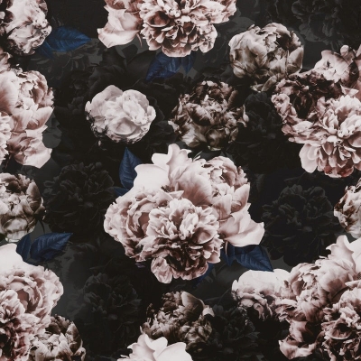 Kain Langsir Bunga-bunga : Vespertina Curtain Fabric Quartz