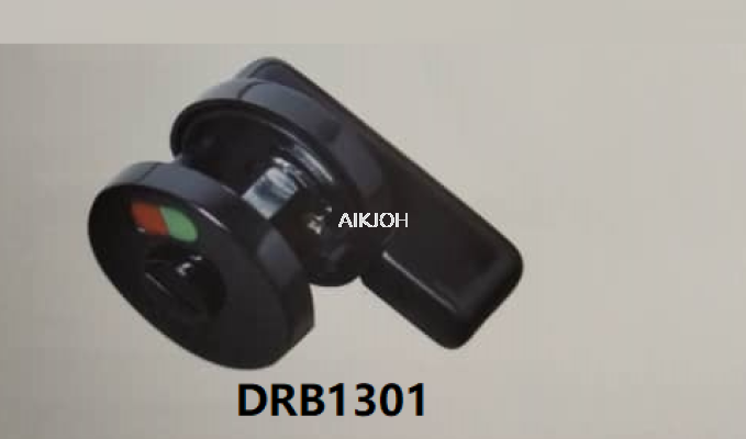 DRB1301
