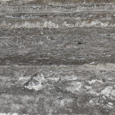 Natural Limestone : Silver Travertine