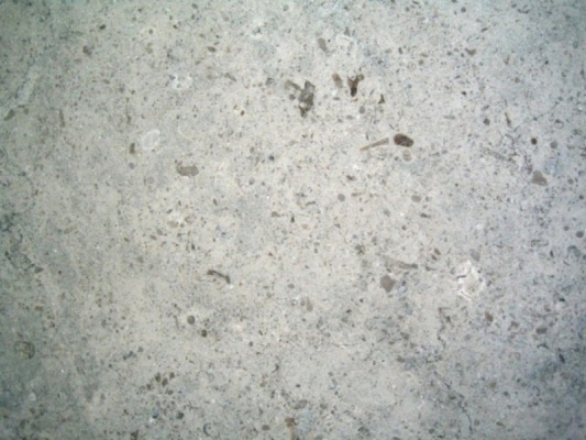 Limestone : Moleanos Blue