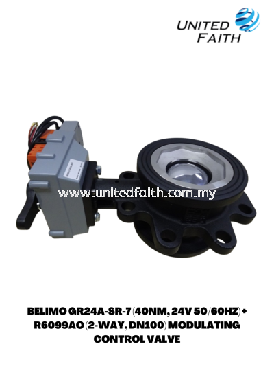 BELIMO GR24A-SR-7 (40NM, 24V 50/60HZ) + R6099AO (2-WAY, DN100) MODULATING CONTROL VALVE