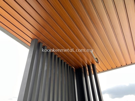 Premium Ceiling Awning