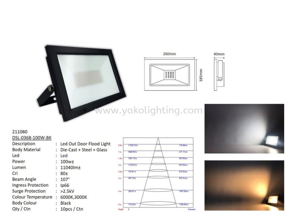 DSL-0368-100W OUTDOOR SPORT LIGHT 