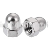 S/S 304 Hex Com Cap Nut Cap Nut Hexagon Nuts