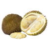Golden Phoenix 金凤 Durian