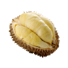 XO Durian