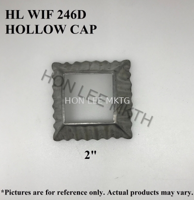 HOLLOW CAP WIF 246 2"