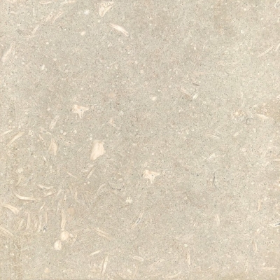 Limestone Model : Seagrass (Olive Brown) Honed