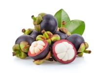 Mangosteen