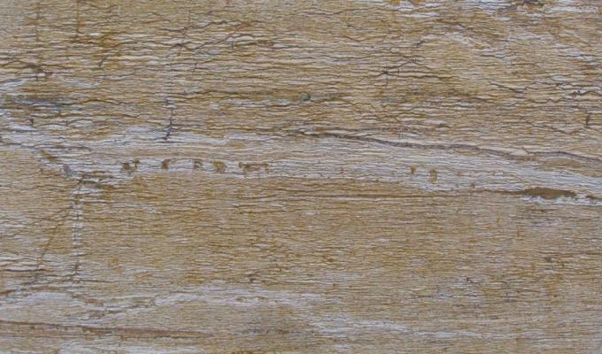 Travertine Slab : Animal Brown