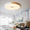 Ceiling Light (5050) Flat Type Ceiling Light CEILING LIGHT