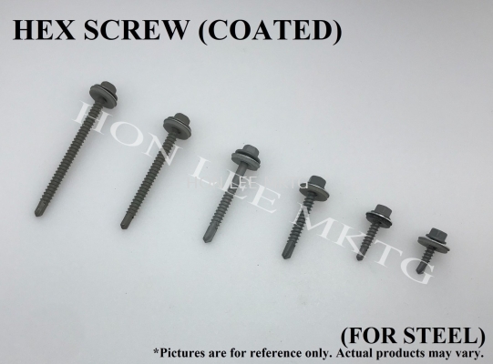 HEX SCREW (COATED) #12 x 2"