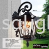 Outdoor Wall Light(WD0389) Outdoor Wall Light OUTDOOR LIGHT