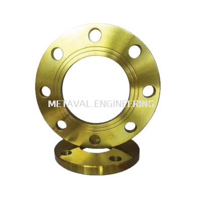 Mild Steel Flange