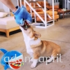 DOG INTERACTIVE TUG-OF-WAR SOUNDING GLOVES SOUNDING TOY Others