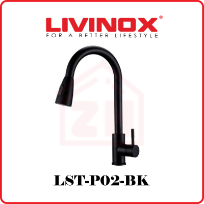 LIVINOX Pillar-Mounted Kitchen Tap LST-P02-BK