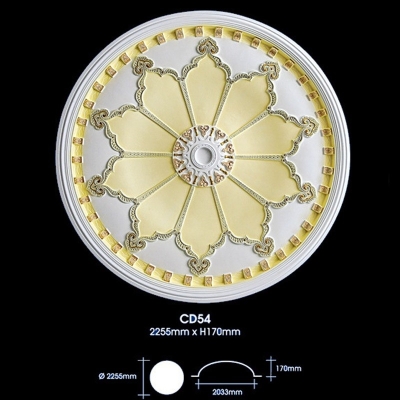 Color Ceiling Dome : CD54