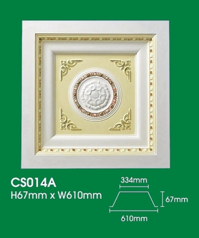 Plaster Ceiling Box-up : CS014A