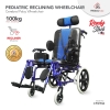 CP Wheelchair Pediatric Reclining Wheelchair for Child Manual Wheelchair Wheelchair - Fresco Bike