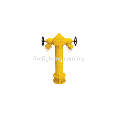 2 Way Fire Hydrant