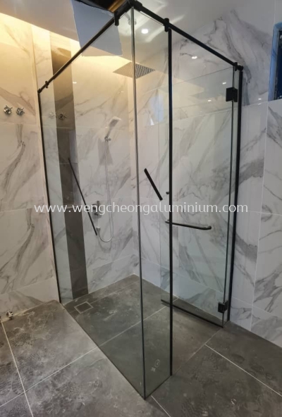 Shower Screen Swing Door