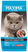 8+1KG MAXIMA DRY CAT FOOD  Cat Food Cat