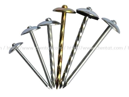 20kg Umbrella Head Roofing Nail