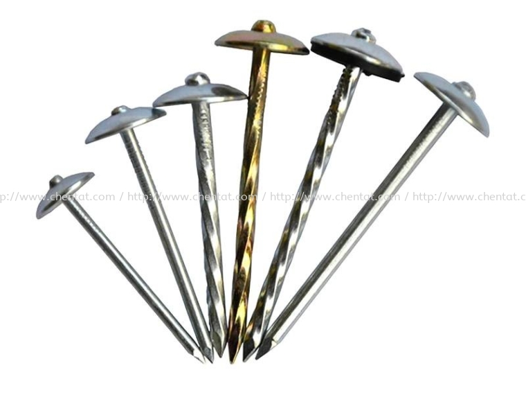 20kg Umbrella Head Roofing Nail ACE Brand