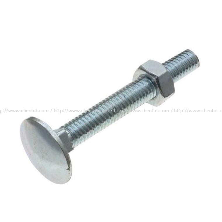 Carriage Bolt & Nut ACE Brand