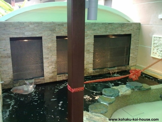 Refurbished Koi Pond