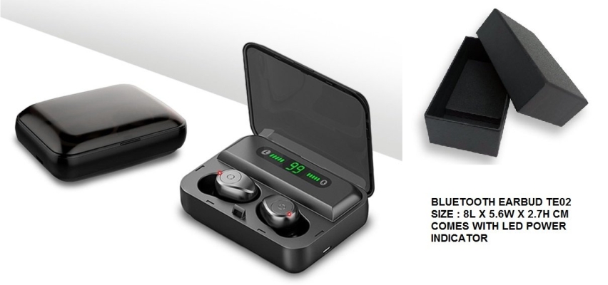 BLUETOOTH EARBUD TE02