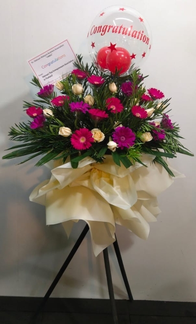 Congratulations Arrangement CA236 floristkl